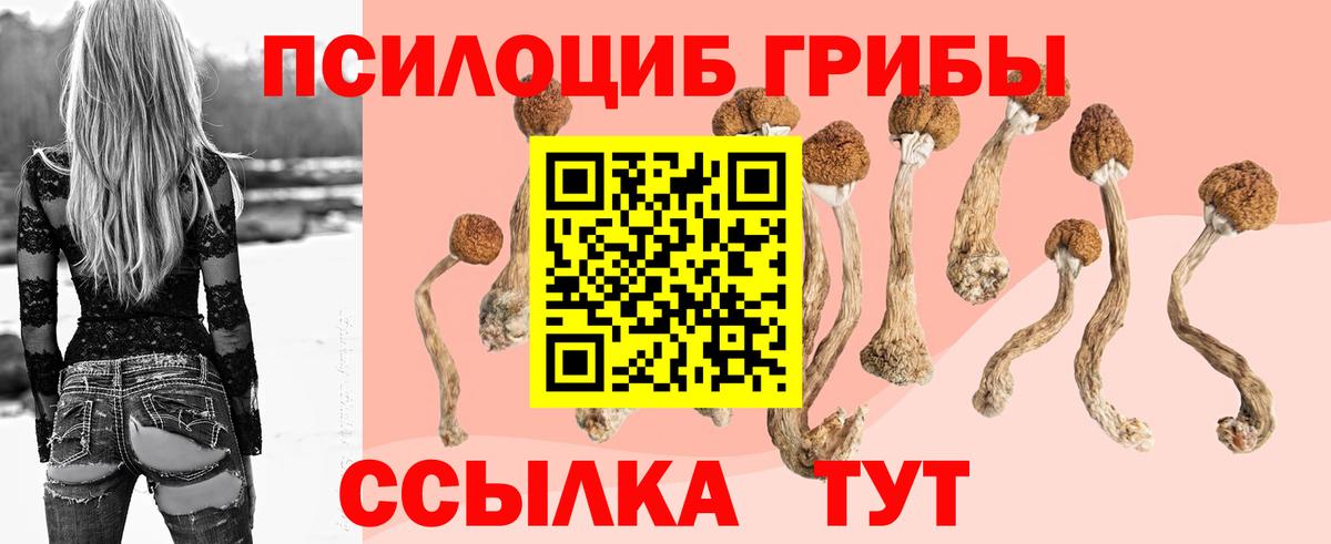 Псилоцибиновые грибы MAGIC MUSHROOMS Наро-Фоминск