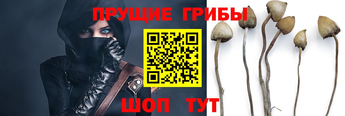Наро-Фоминск  Псилоцибиновые грибы Magic Shrooms  Вход с VPN 